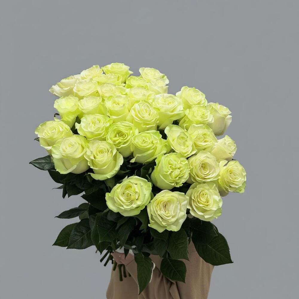 Роза Мондиаль 35 шт