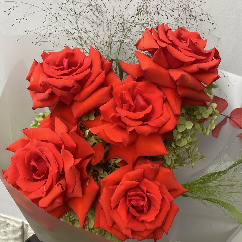Яркий комплимент 🌹