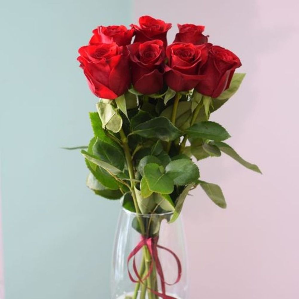Голландские розы букет. Голландские розы бордовые. Букет 7 голландских роз.