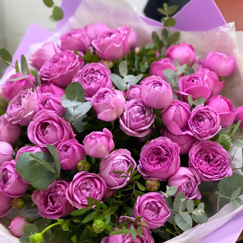 Misty 🤩 wow💝😍🙏🏻😘💖