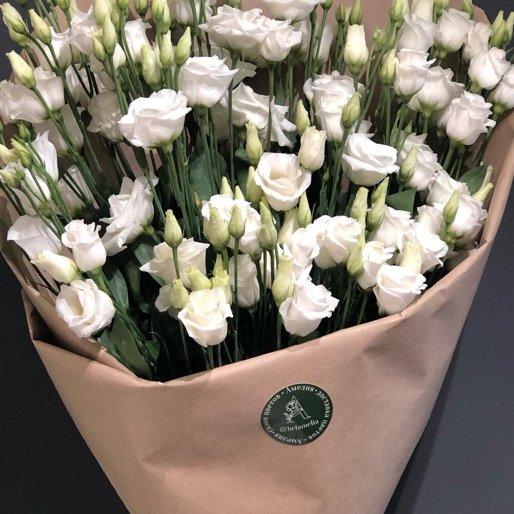 White Garden