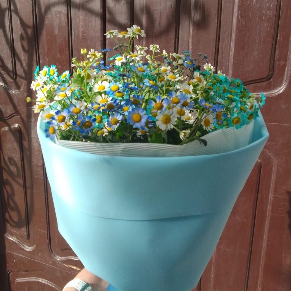 Улыбка  радуги