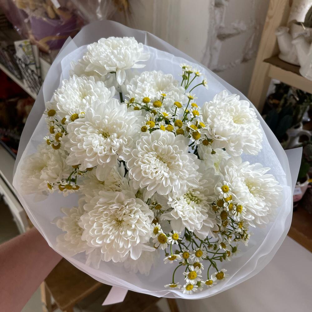 Хризантема, ромашка🌼