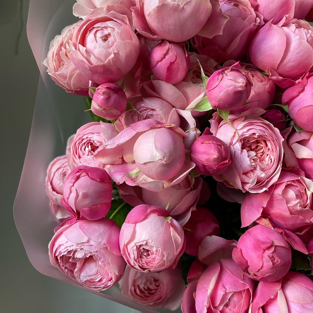 11 пионовидных кустовых роз🌸