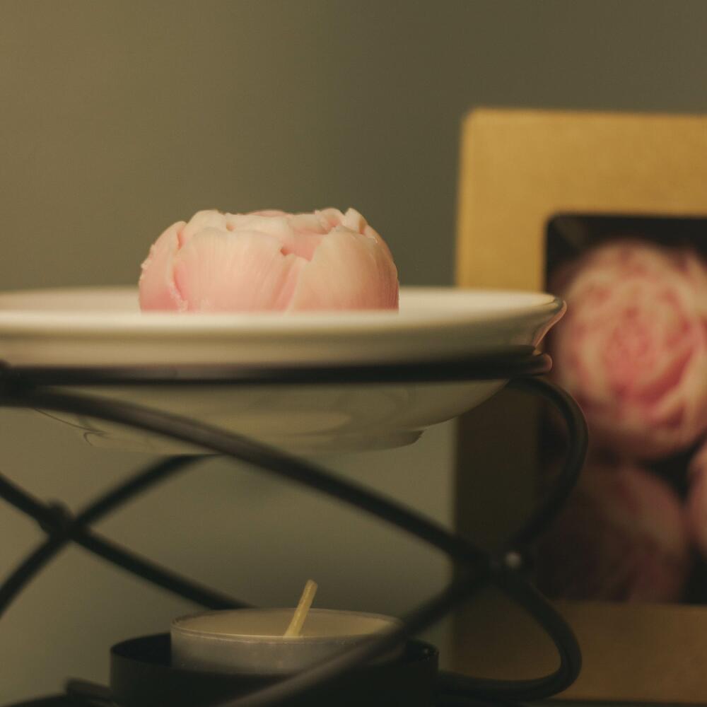 Набор аромалампа черная+wax melts пионы