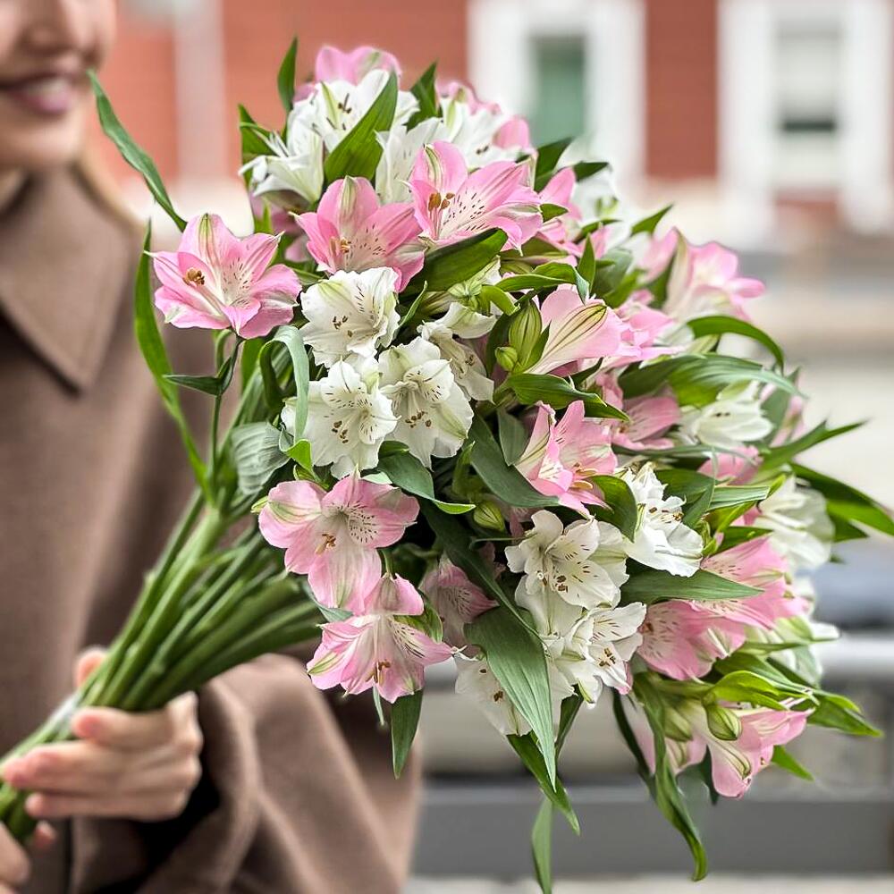 Альстромерия нежная 15 шт