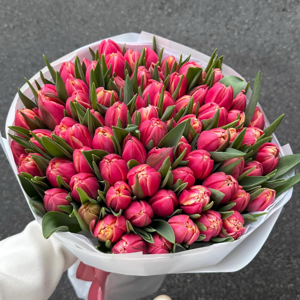 Тюльпаны 🌷  калумбус