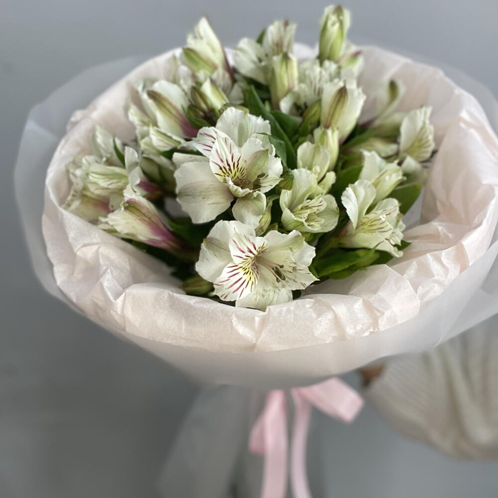 Альстромерия белая