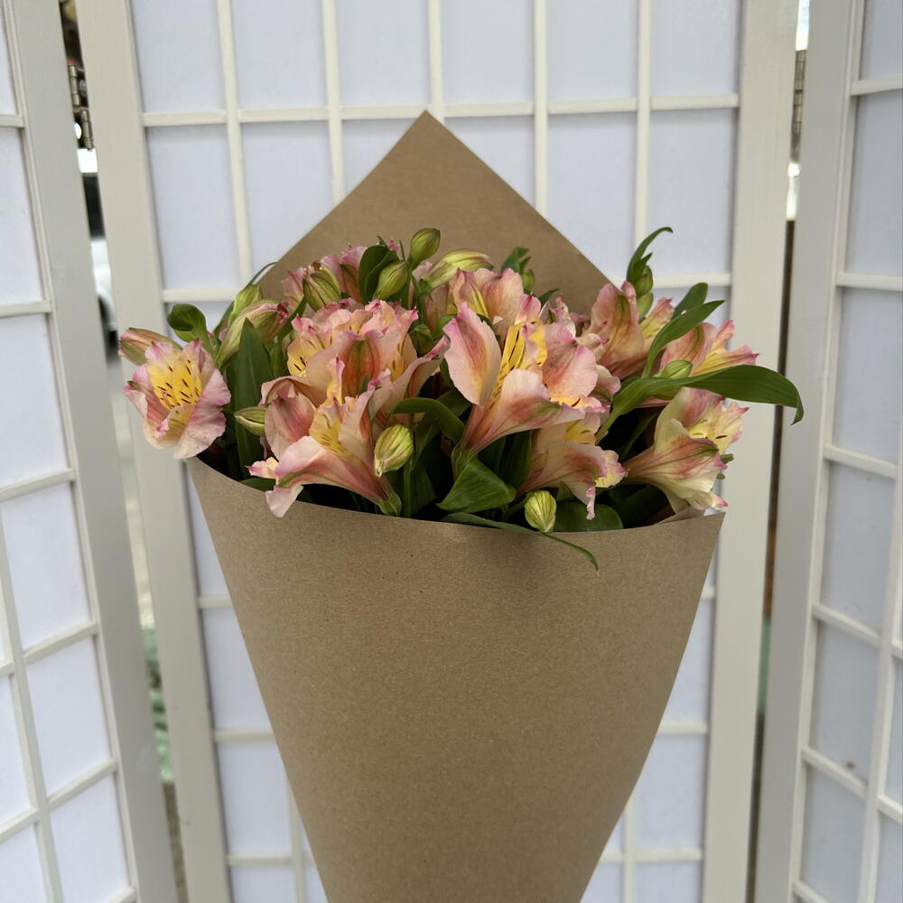 Alstroemeria🌺