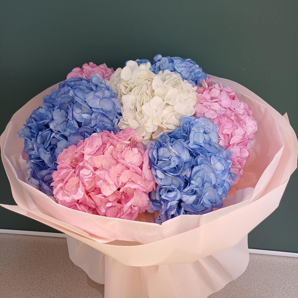 Моно букет из гортензий