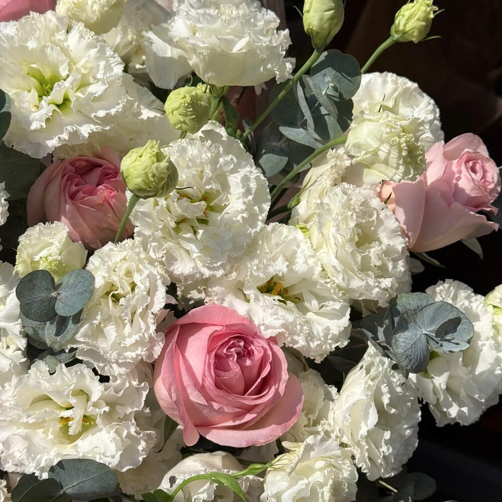 Chamomile Dream