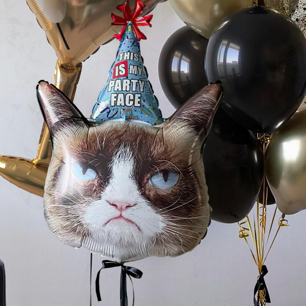 Шары для девушки «Party Mood: Кот   Мартини»