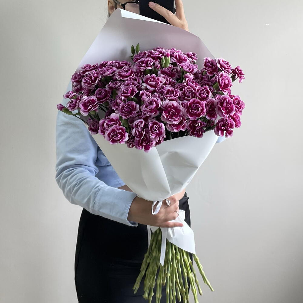 39 кустовых диантусов