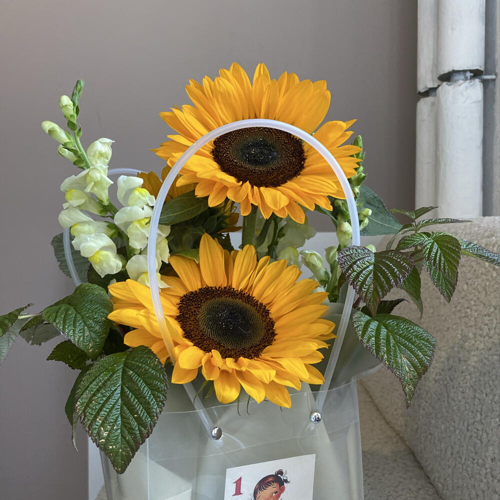 Подсолнухи 🌻