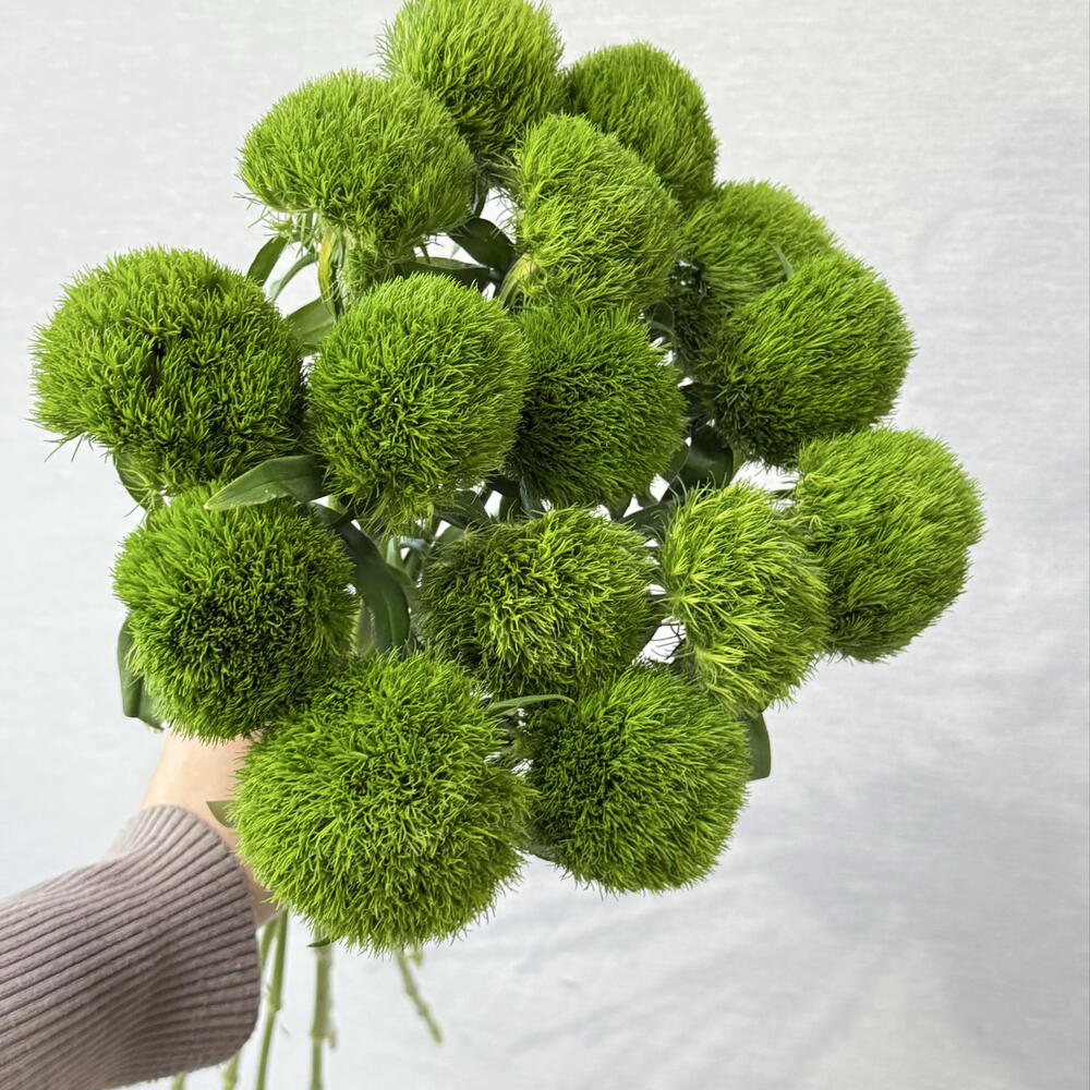 Green Trick