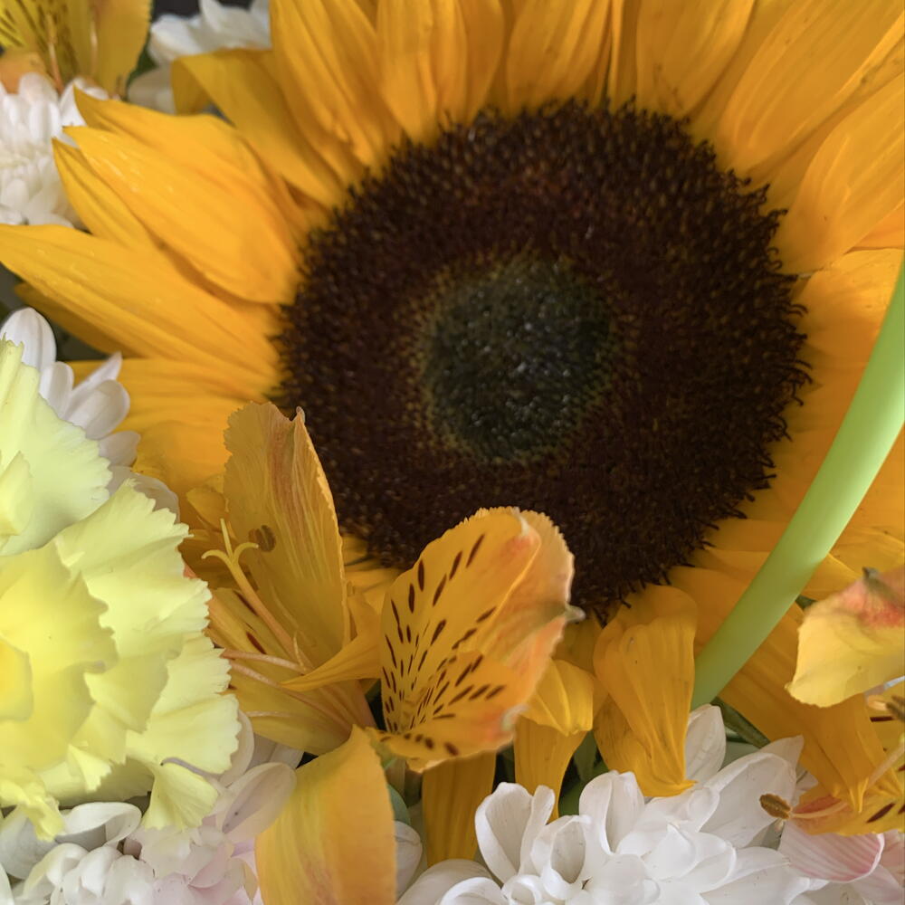 Сумочка с подсолнухом🌻