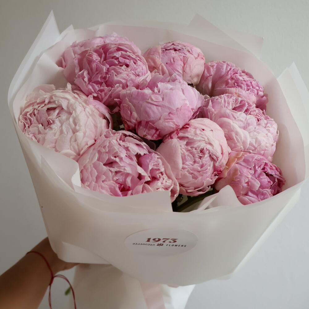 Peonies