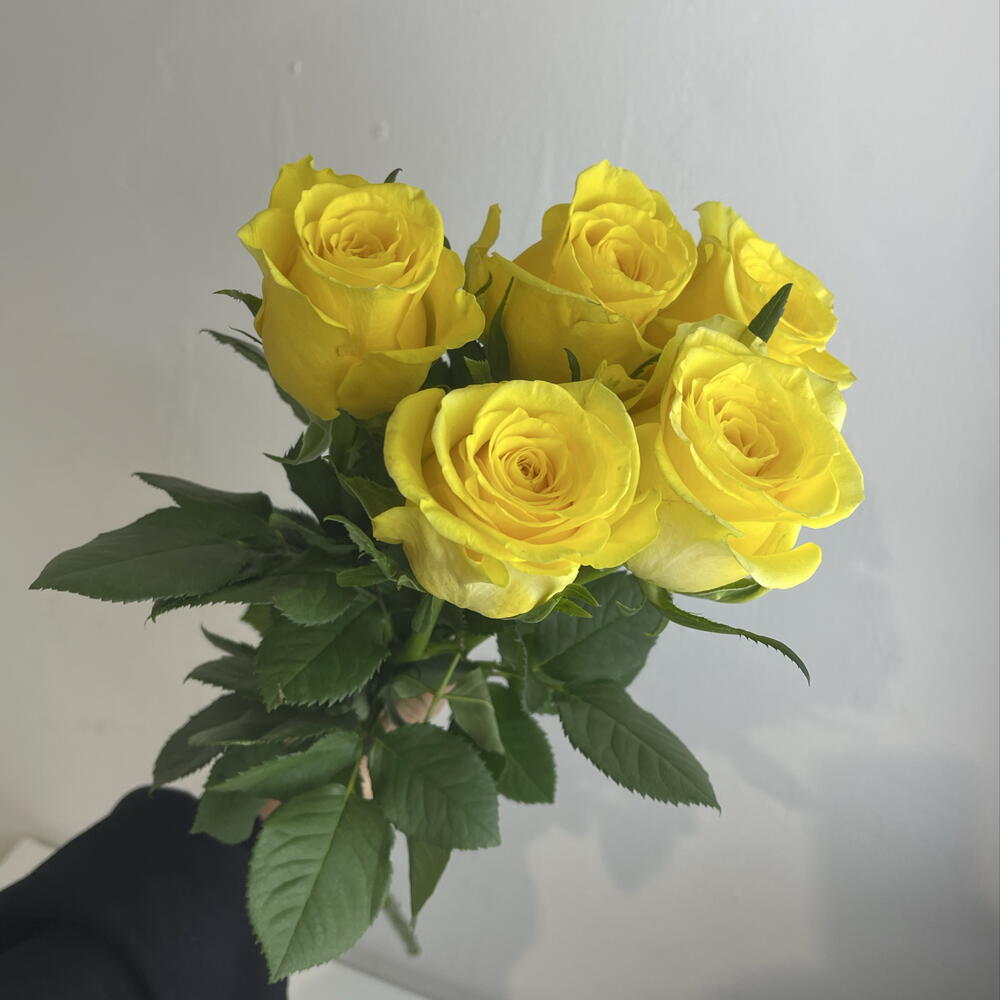 Розы жёлтые 💛 5