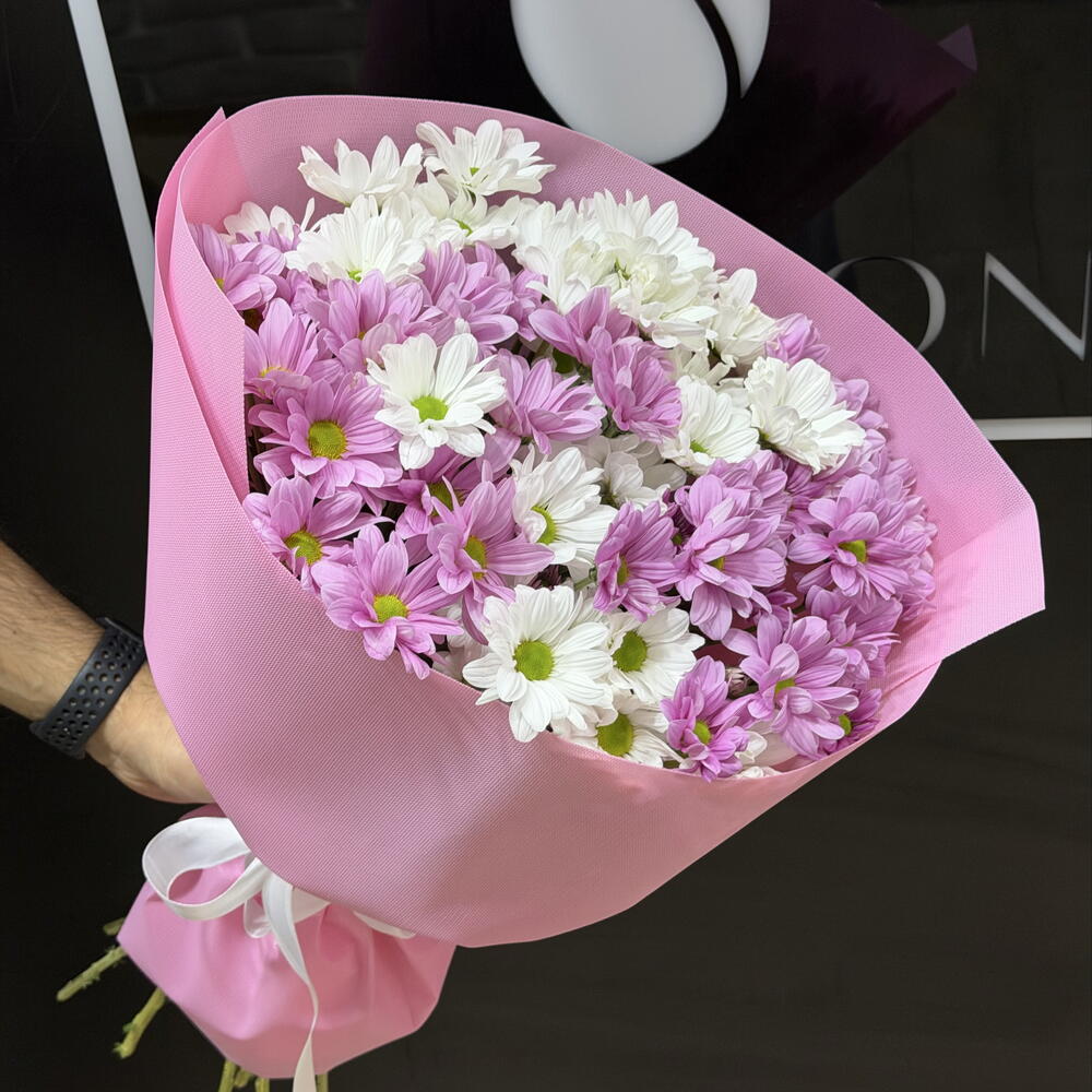 Chrysanthemum 💗💗