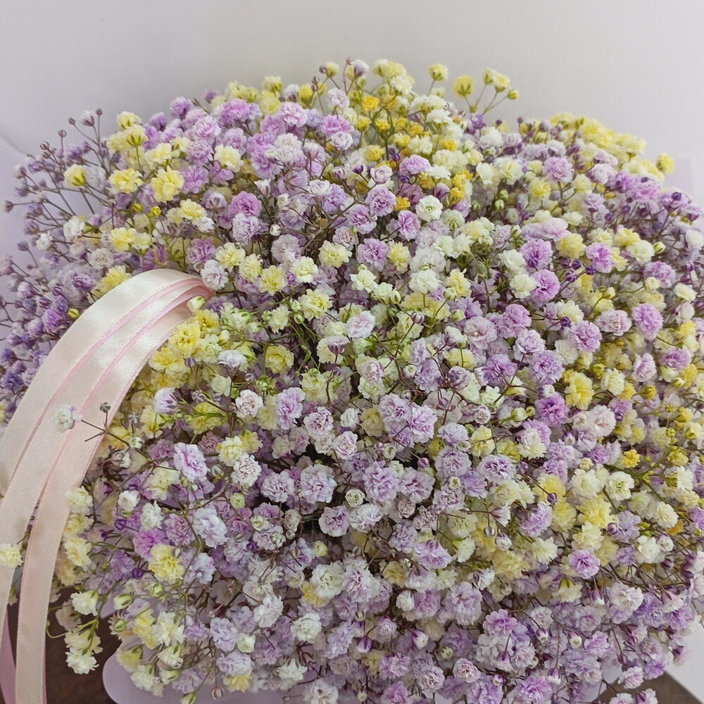 Пышная гипсофила 💜