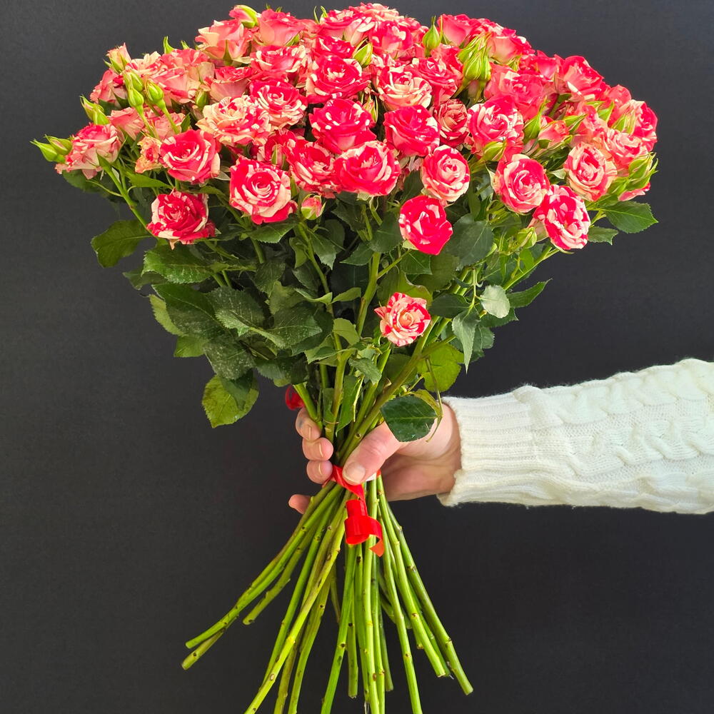 роза кустовые1 25 шт
