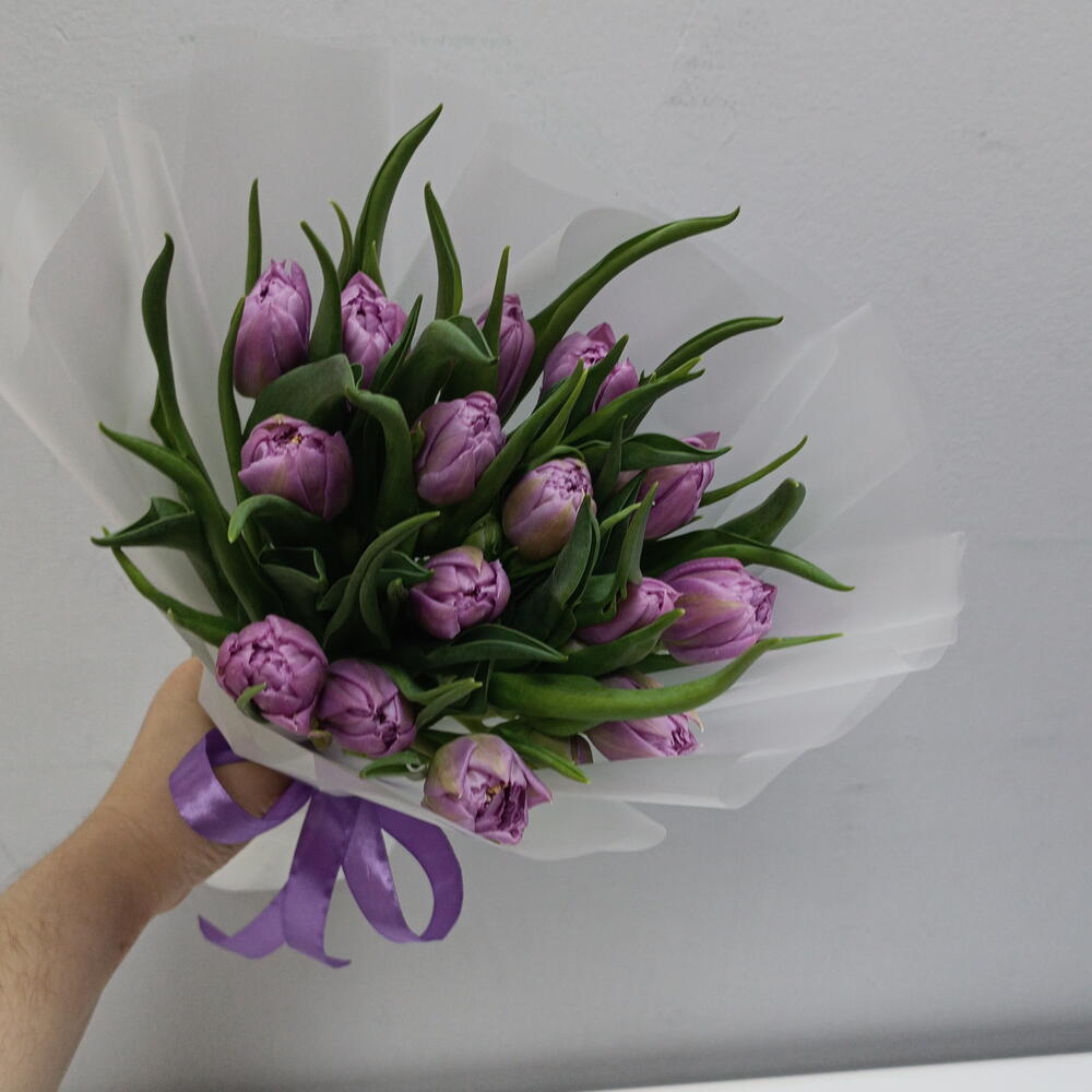 🌷Тюльпаны