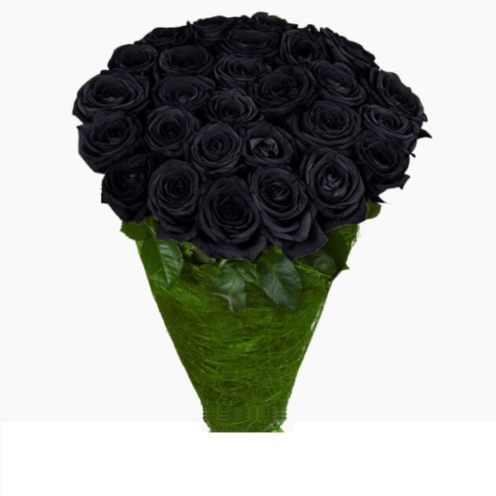 Где купить черные розы. Розы букет чёрный Магис. Розы из Эквадора Блэк Мэджик. Букет из черных роз.