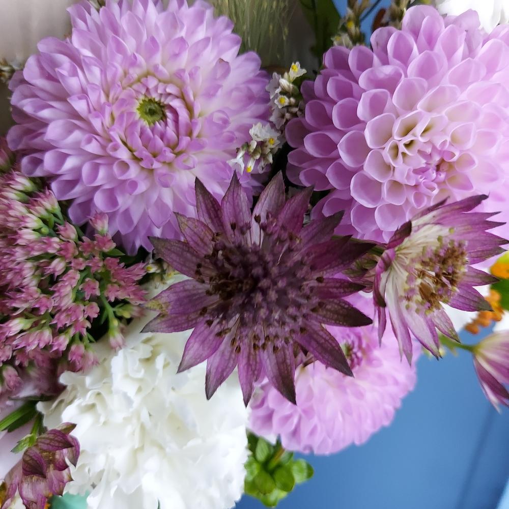 Envelope with dahlias