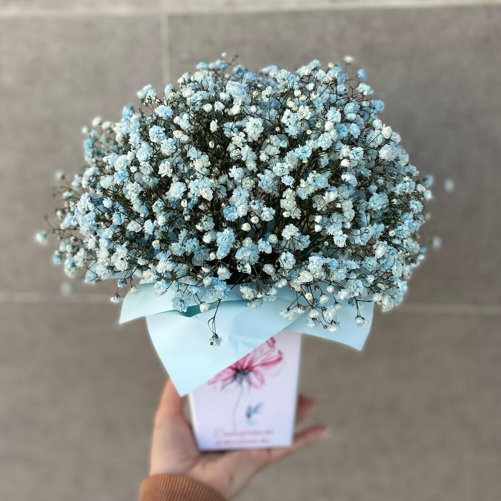 Коробочка с гипсофилой, Цветы и подарки в Симферополе, купить по цене ...