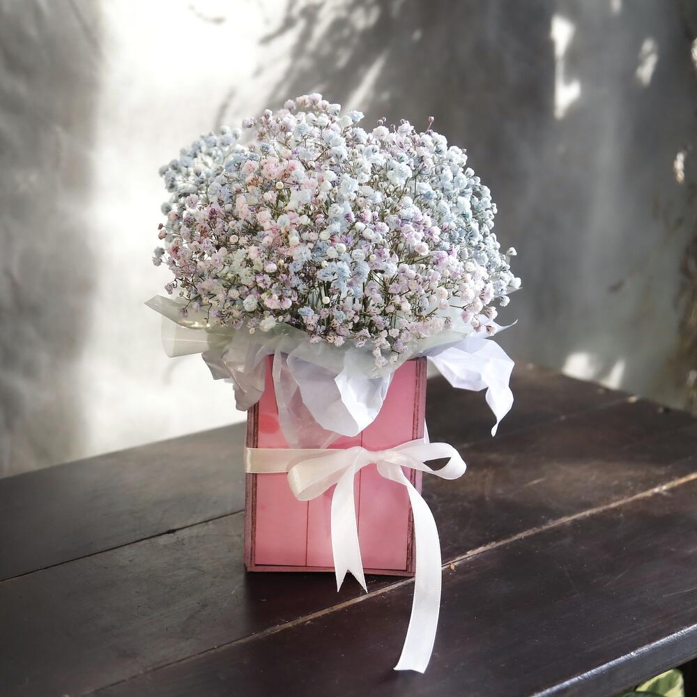 Caja de Gypsophila