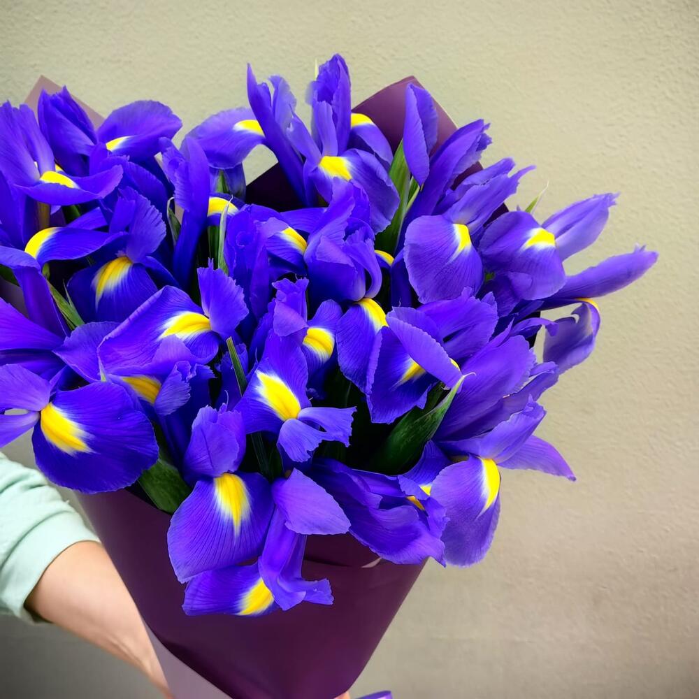 Букет из 15 ирисов (код 69)