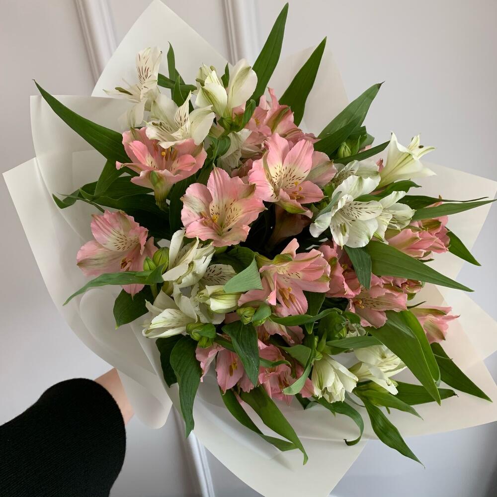 Стойкая альстромерия МОНО 💌