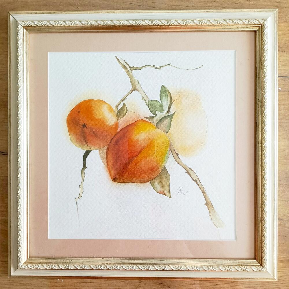 Watercolor painting, persimmon. In the frame