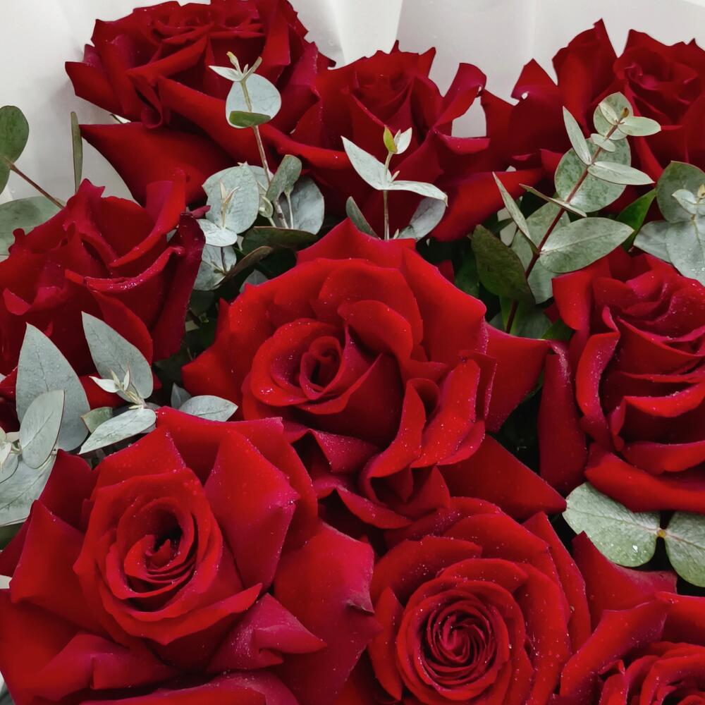 Holland Roses Bouquet N-01