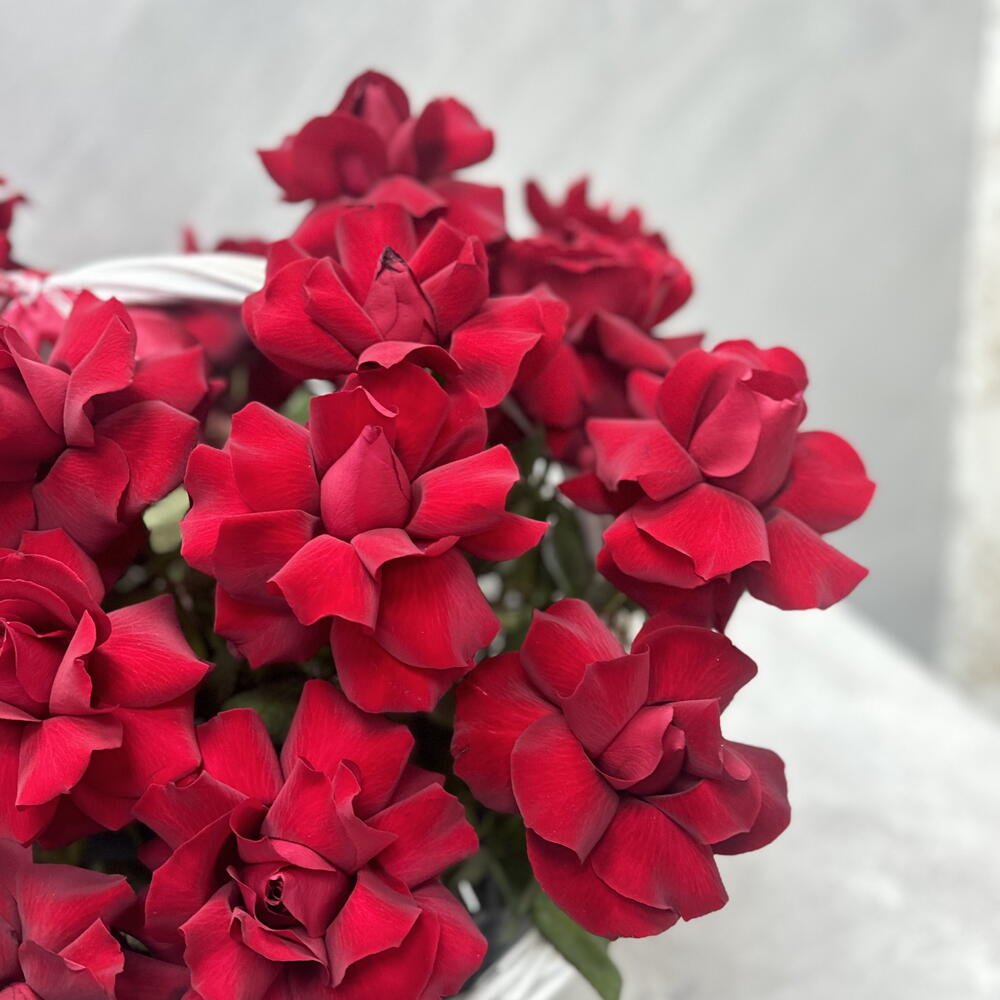 Французские розы в корзине 😍