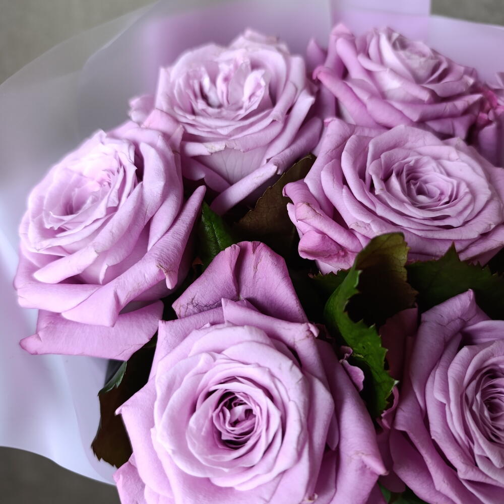 💜розы сиреневые