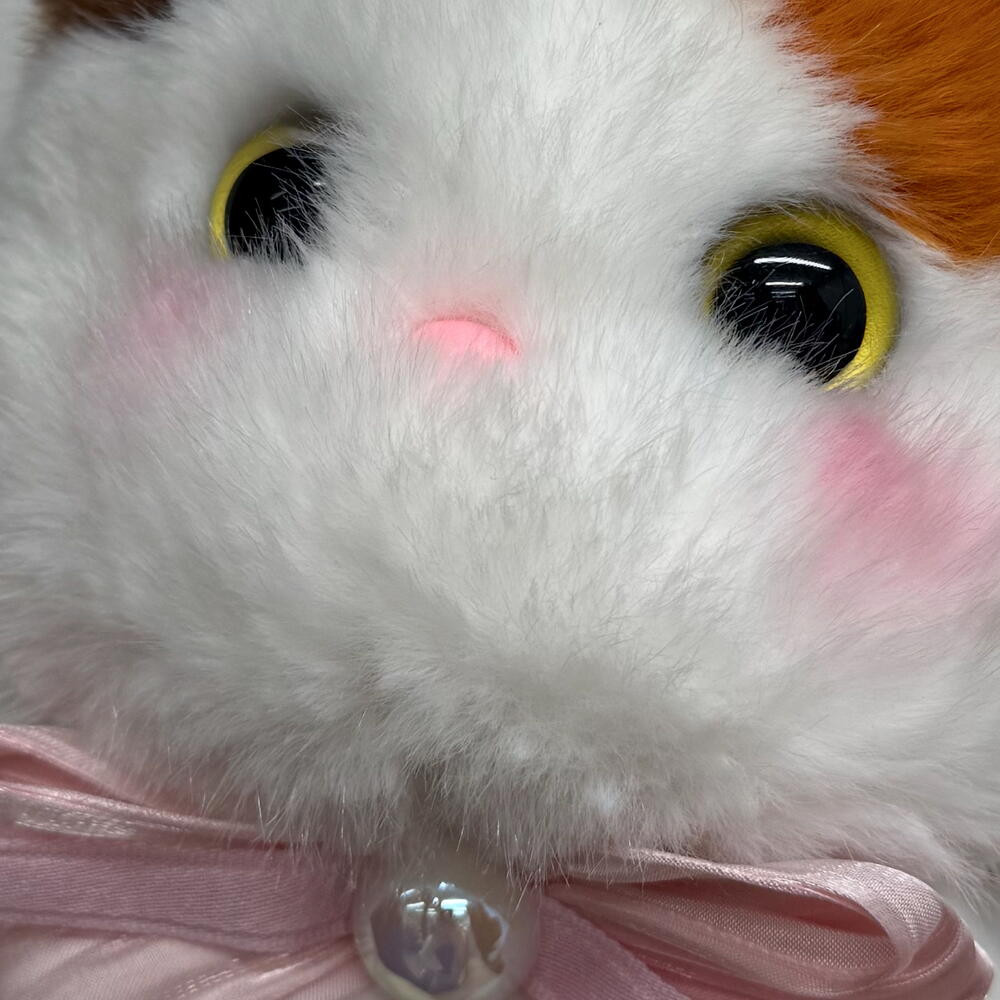 Мягкий котик