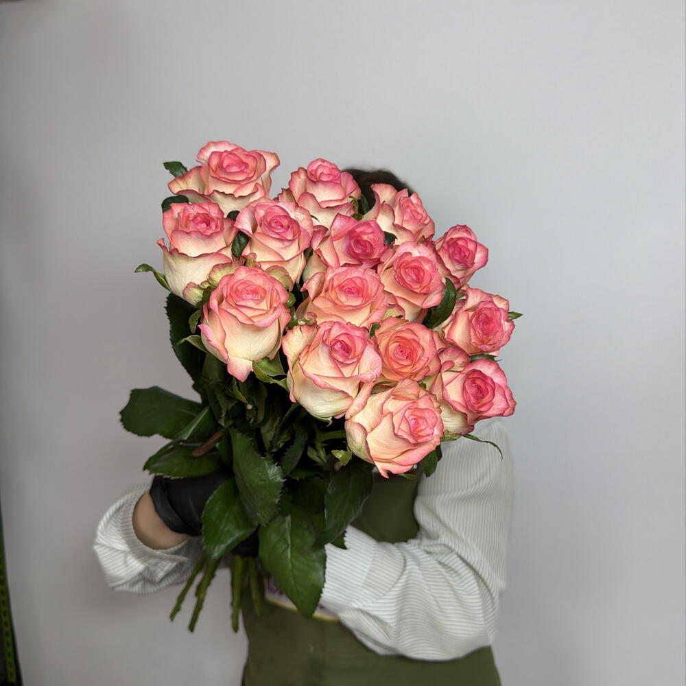 15 роз джумилия 🌸