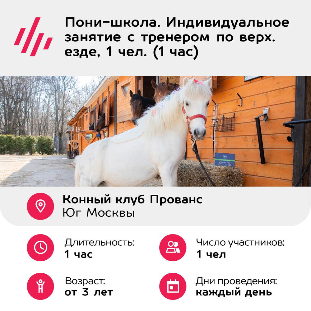 Подарочный сертификат Пони-школа. Индивидуальное занятие с тренером по верх. езде, 1 чел. (1 час)