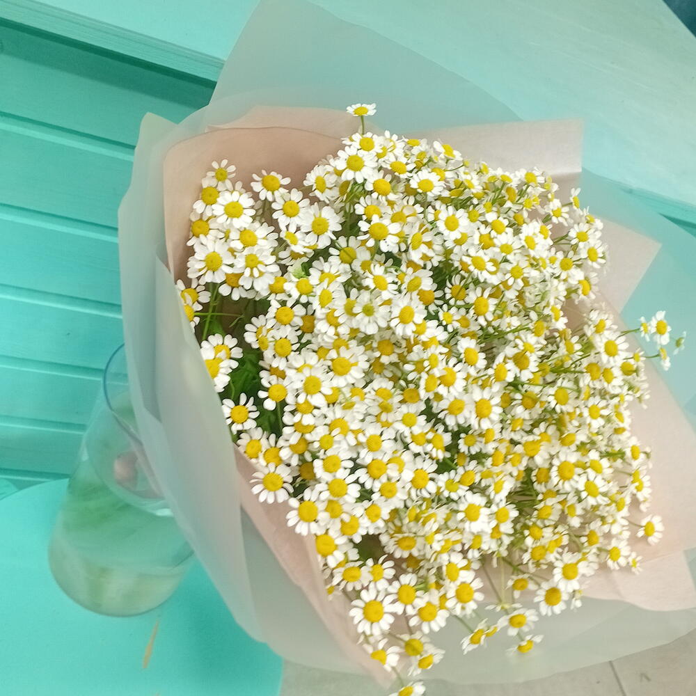 Ромашки  15