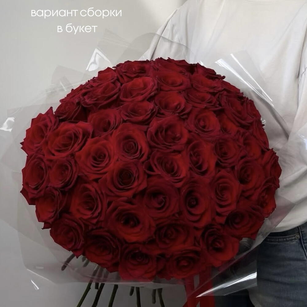 Роза красная