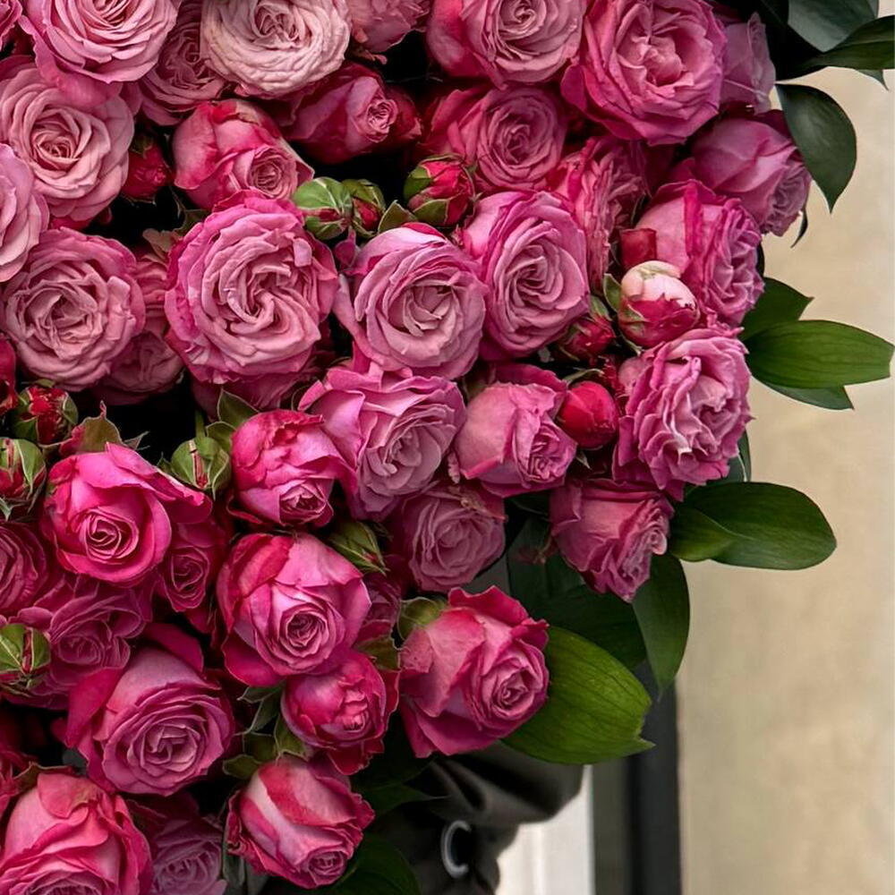Vip pink 101 peonies