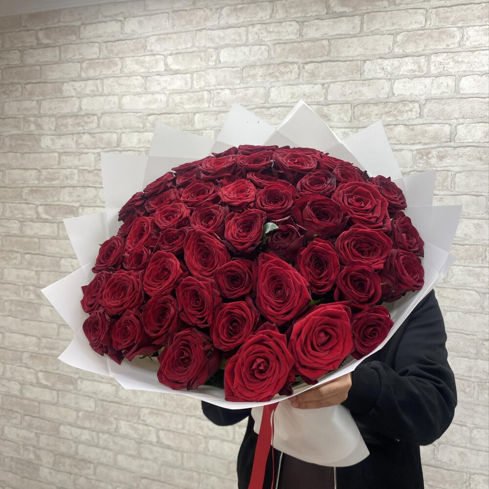 Роза красная🌹🌹🌹