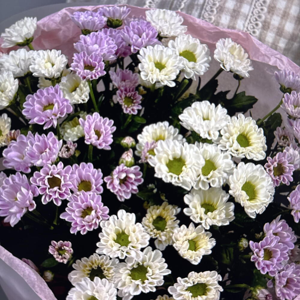Дуо букет из белых и розовых сантини (49-0508)