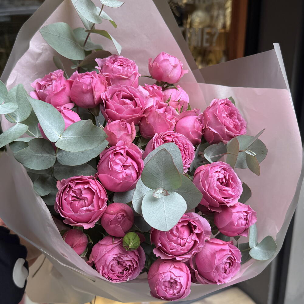 Misty Bubble roses