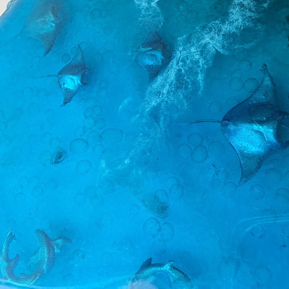Костер Морское дно
