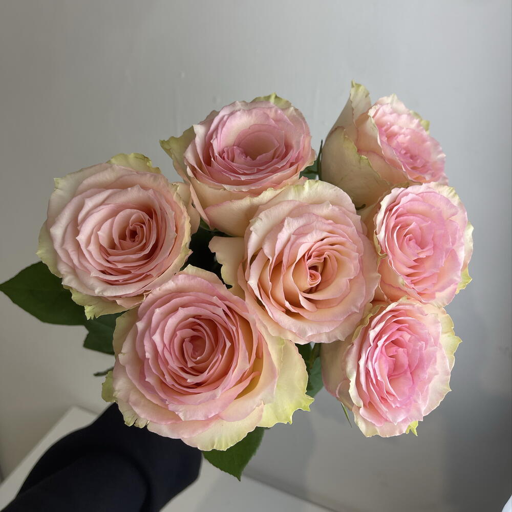 Розы нежные 🌸7