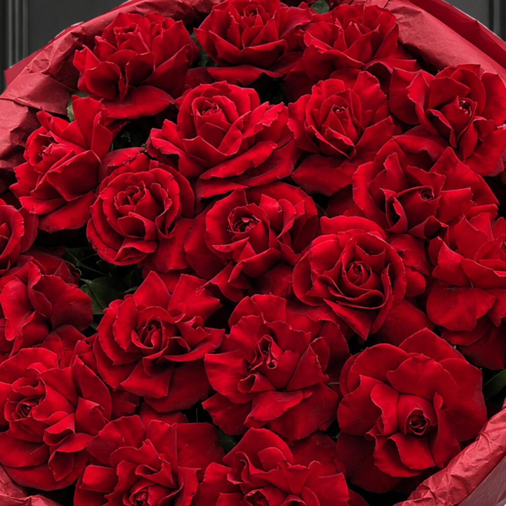 Qırmızı ❣️