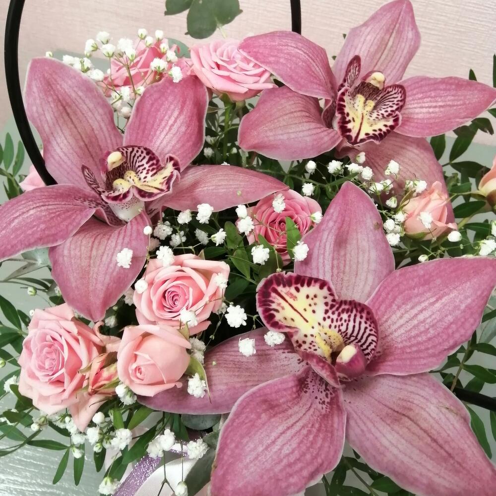 Orchids in a handbag