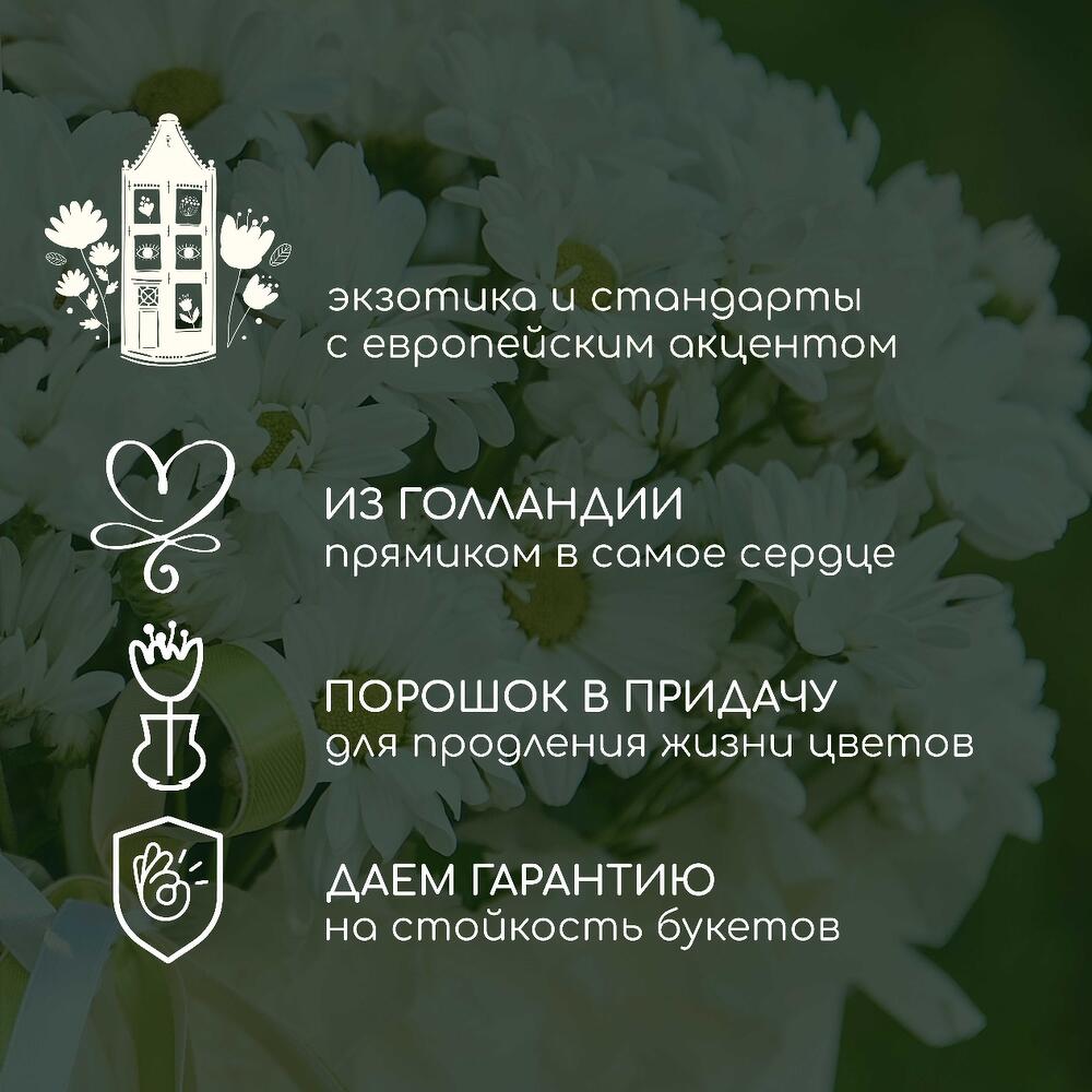 Леди на велосипеде. Самый везучий букет из ромашек в сумочке